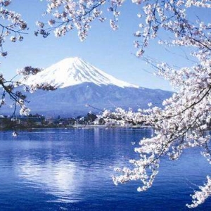 ����ʵ������ѧ������ѡ�ձ�