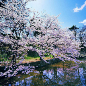 ������ѧ��Ҫע���ļ���