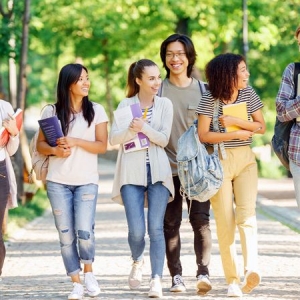 ȥ���������ڿγ̵���������Щ��