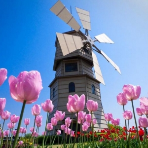 ����U���ѧ��H���ѧ����Щ����