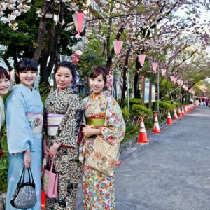 �ձ���ѧ��װѧרҵ����