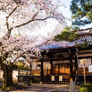 ��������ձ���ѧ��