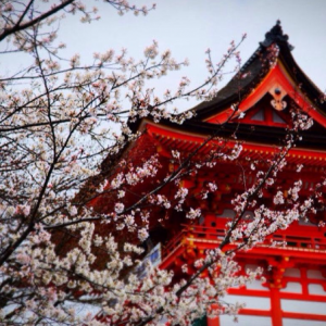 �����ձ���ѧ��������ʱ���