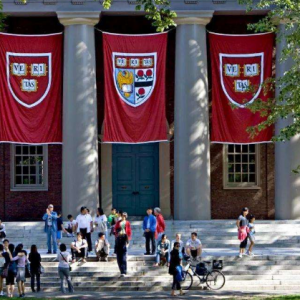 2023������������ݱ���