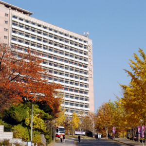 ������ѧѧ��Ҫ����ʲô