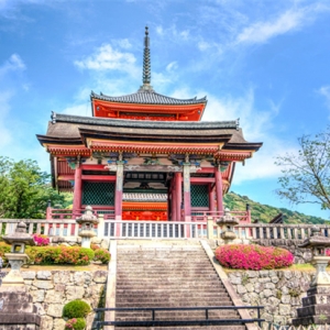 �����ձ��о�����;������Щ