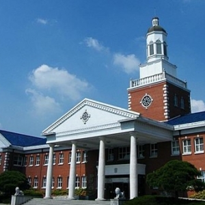 2020�꺫���о����������