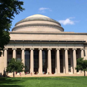 ����������У�ľŴ���