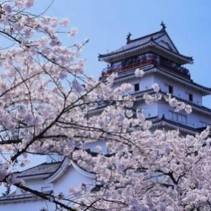 ����ר������ѧ�ձ��ķ�������