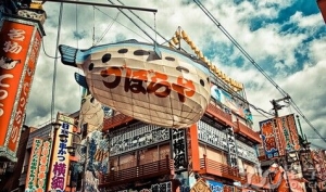 ���б�ҵ���ձ���ѧҪ��������ѵԺУô��