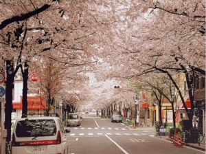 �ύ������ѧ�����Ӧ��ʲô��