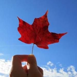 留学加拿大硕士类型有哪些