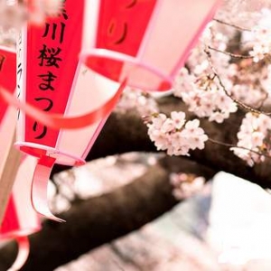 �ձ���ѧ�Զ�Ӣ����ʲôҪ����