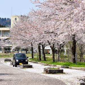 �������ʸ��϶��顱��������ô�죿�ձ�������������ٳ�����