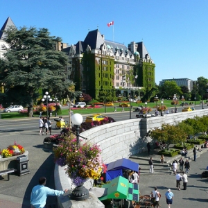 想转学去加拿大该怎么做