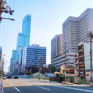 �ձ�������ѧ���������鼰רҵ�Ƽ�