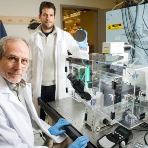 Ϊʲô������ѧ�Ŀ�ѧ�о���������?