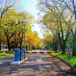 �ձ���ѧ�ô���࣬һ��������