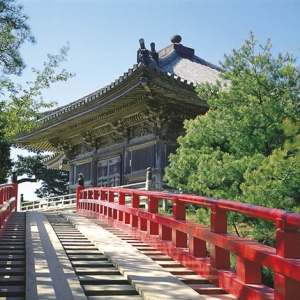 ������ѧ�����˽���Щ����