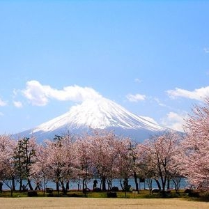 ��������ѧ�ձ���Ҫ׼���Ĳ���