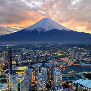 ȥ�ձ���ѧ���Ŀ�����ѡ����Щרҵ��