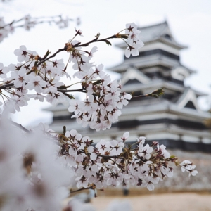 2021����ѧ�ձ���׼��������