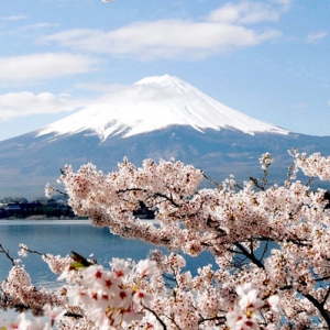 �ձ���ѧ��6��ѡУ����