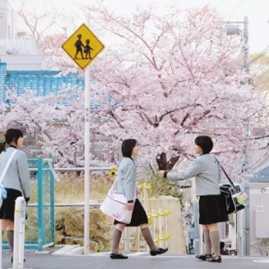 �ձ�������ѧ������룿