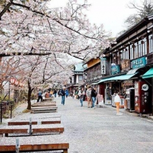 ��ѧ�ձ���Ҫ���Ｘ����