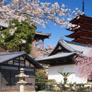 �ձ���ѧ�����Կ�ʲô��