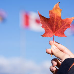 加拿大留学陪读签证如何申请?