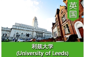 Yͬѧ����Ӣ�����ȴ�ѧ