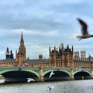 �������������Ӣ����ѧ