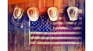 �����������о�����ѧ����Щ����