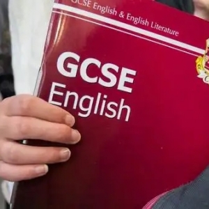 ӢѧʲôGCSE