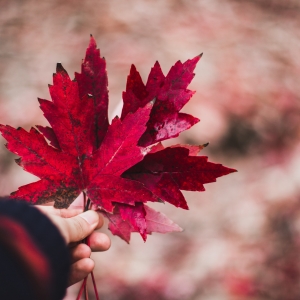 加拿大预科留学申请介绍