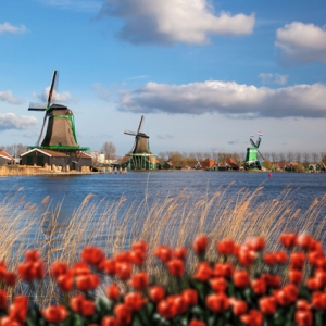 申请荷兰留学要满足哪些语言要求？