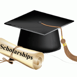 ������ѧ��ѧ���������