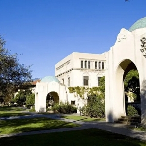 ��ͬרҵ������ѧAP��Ŀѡ��ԭ��