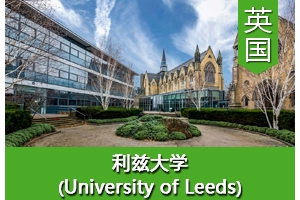 Xͬѧ����Ӣ�����ȴ�ѧ