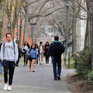 �����о����������Ʒ���