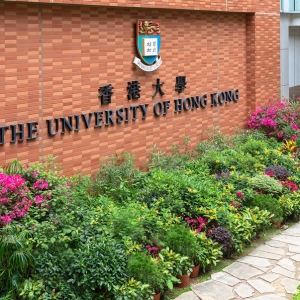 申请香港大学必须要语言成绩吗？