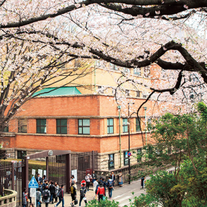 2024日本留学有哪些热门专业