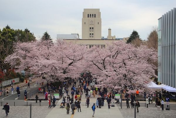 2023年日本实际就业率大学排行榜