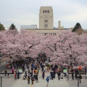 2023年日本实际就业率大学排行榜