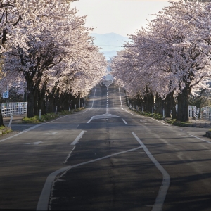 ȥձҪѶǮ